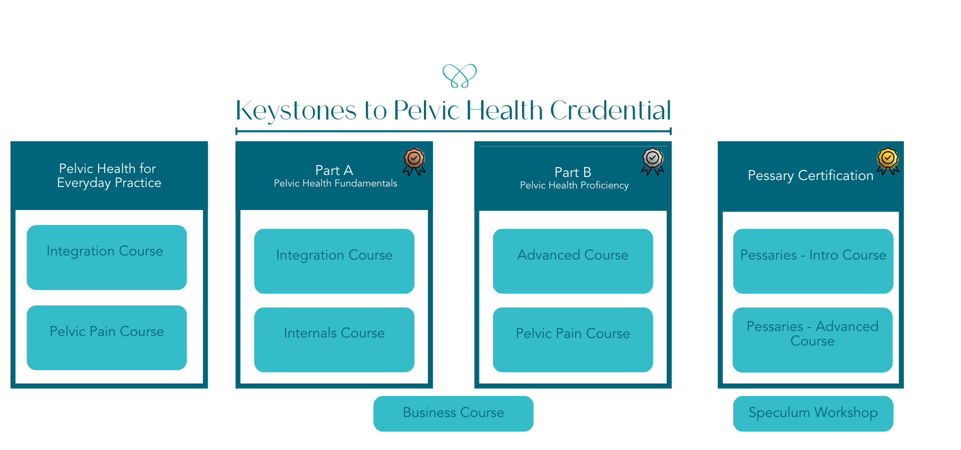 Pelvic health training pathways for health professionasl by Dr Melissa Davidson PhD