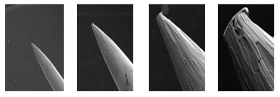 A sequence of four black-and-white microscope images showing the gradual damage or wear of a sharp, pointed tip, becoming visibly rougher and more irregular from left to right.
