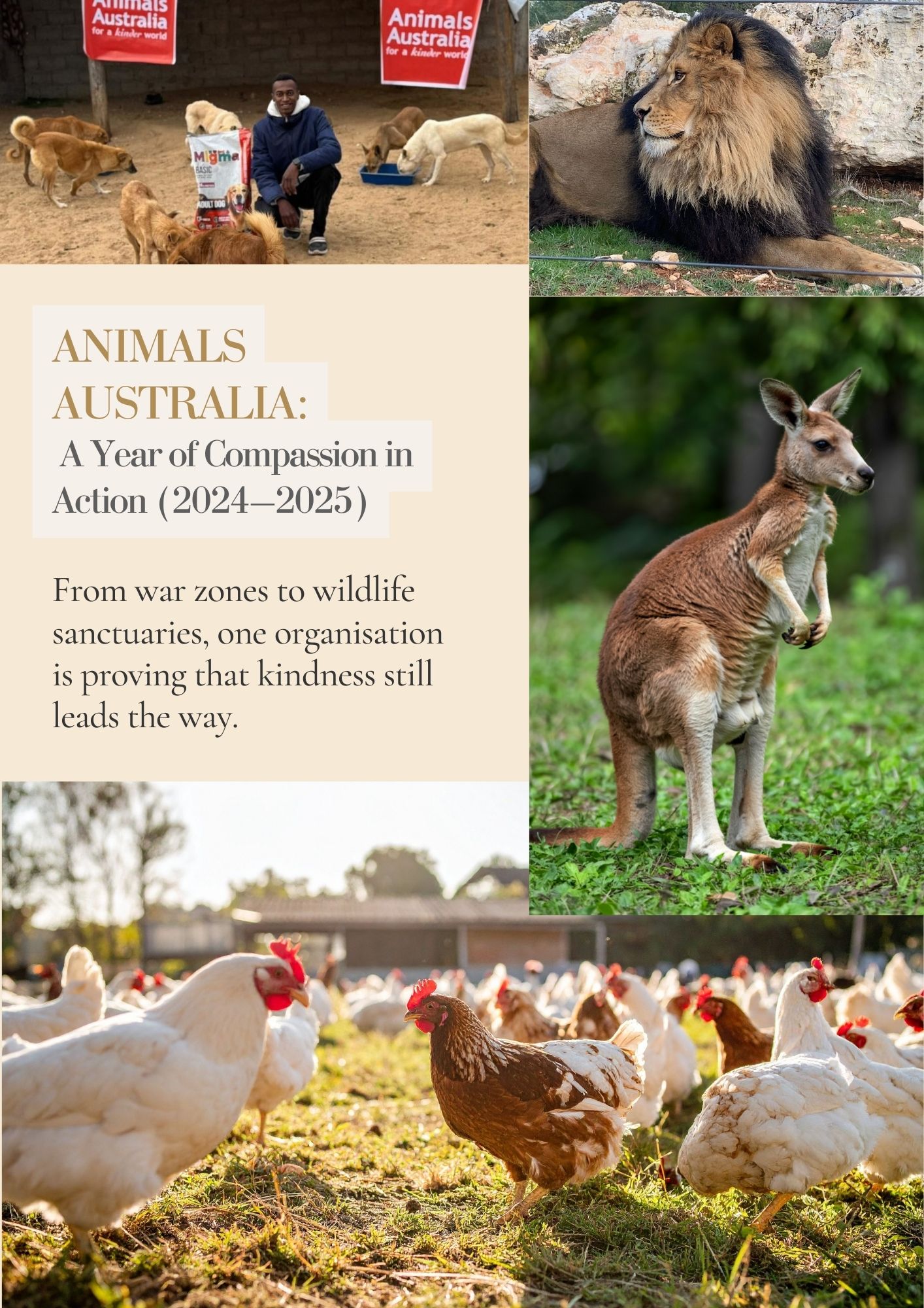 Women empowerment, Malala Yousafzai, Female education