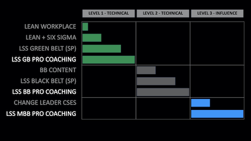 lean six sigma levels